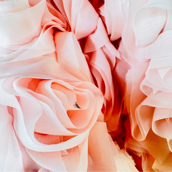 Akira Jacket size Medium Pink Roses 3D Floral Women's Jacket Zip Up Ruffled - Picture 7 of 8